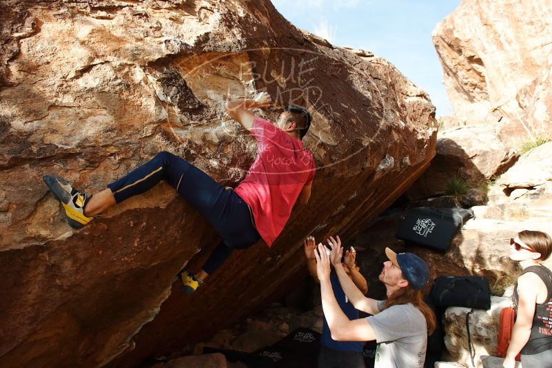 Bouldering in Hueco Tanks on 11/09/2019 with Blue Lizard Climbing and Yoga

Filename: SRM_20191109_1648060.jpg
Aperture: f/5.6
Shutter Speed: 1/500
Body: Canon EOS-1D Mark II
Lens: Canon EF 16-35mm f/2.8 L