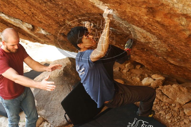 Bouldering in Hueco Tanks on 11/09/2019 with Blue Lizard Climbing and Yoga

Filename: SRM_20191109_1708200.jpg
Aperture: f/4.0
Shutter Speed: 1/250
Body: Canon EOS-1D Mark II
Lens: Canon EF 50mm f/1.8 II