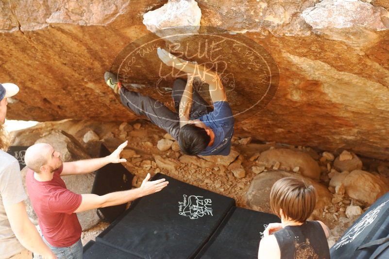 Bouldering in Hueco Tanks on 11/09/2019 with Blue Lizard Climbing and Yoga

Filename: SRM_20191109_1708290.jpg
Aperture: f/4.0
Shutter Speed: 1/250
Body: Canon EOS-1D Mark II
Lens: Canon EF 50mm f/1.8 II