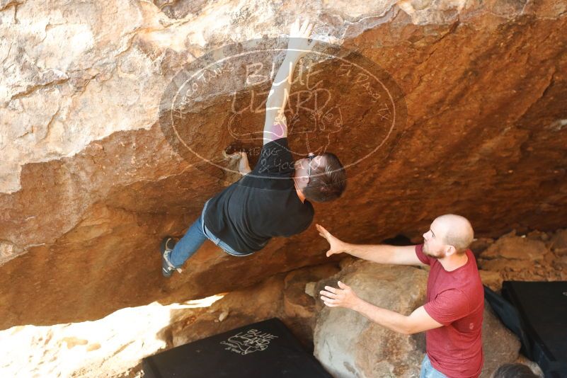 Bouldering in Hueco Tanks on 11/09/2019 with Blue Lizard Climbing and Yoga

Filename: SRM_20191109_1720370.jpg
Aperture: f/4.0
Shutter Speed: 1/400
Body: Canon EOS-1D Mark II
Lens: Canon EF 50mm f/1.8 II