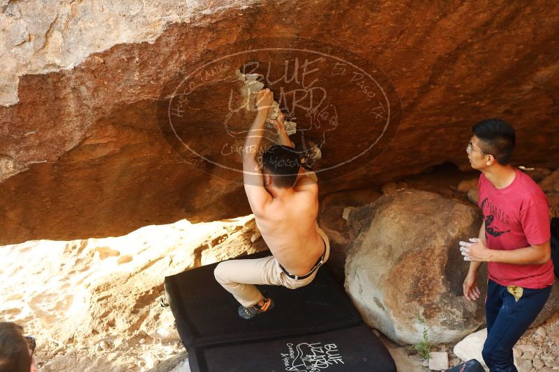 Bouldering in Hueco Tanks on 11/09/2019 with Blue Lizard Climbing and Yoga

Filename: SRM_20191109_1738550.jpg
Aperture: f/4.0
Shutter Speed: 1/320
Body: Canon EOS-1D Mark II
Lens: Canon EF 50mm f/1.8 II
