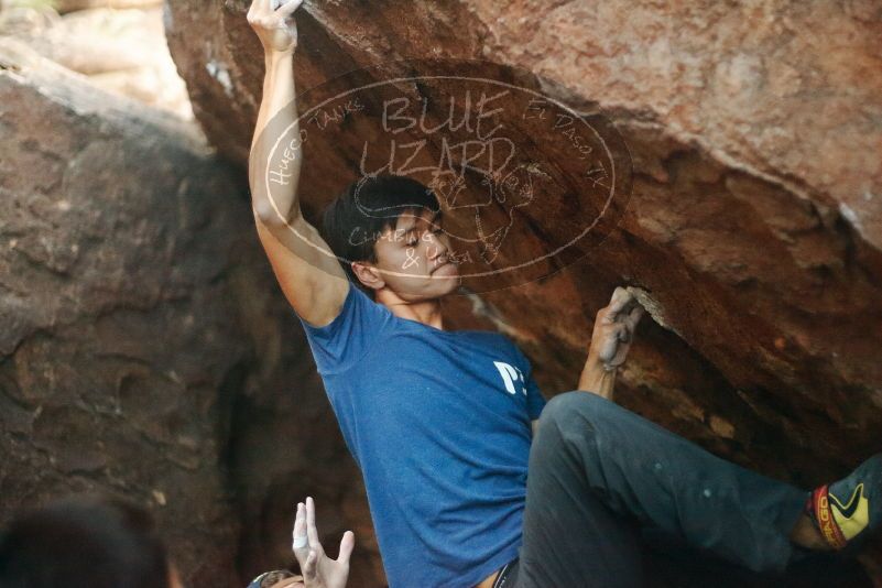 Bouldering in Hueco Tanks on 11/09/2019 with Blue Lizard Climbing and Yoga

Filename: SRM_20191109_1813170.jpg
Aperture: f/1.8
Shutter Speed: 1/250
Body: Canon EOS-1D Mark II
Lens: Canon EF 50mm f/1.8 II
