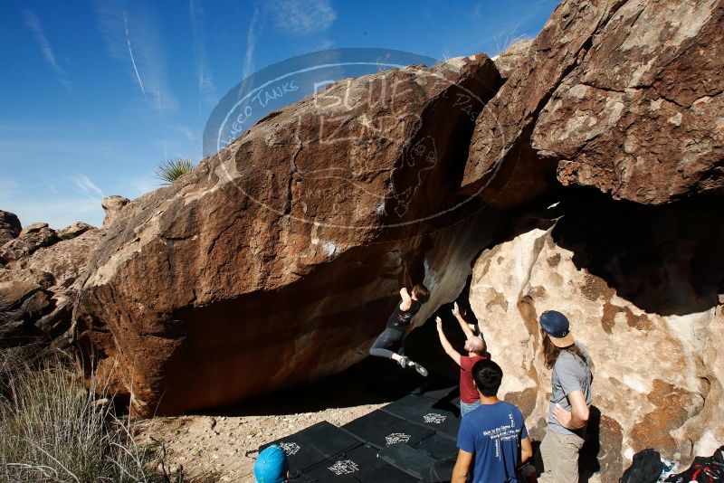 

Filename: SRM_20191109_1157580.jpg
Aperture: f/9.0
Shutter Speed: 1/250
Body: Canon EOS-1D Mark II
Lens: Canon EF 16-35mm f/2.8 L
