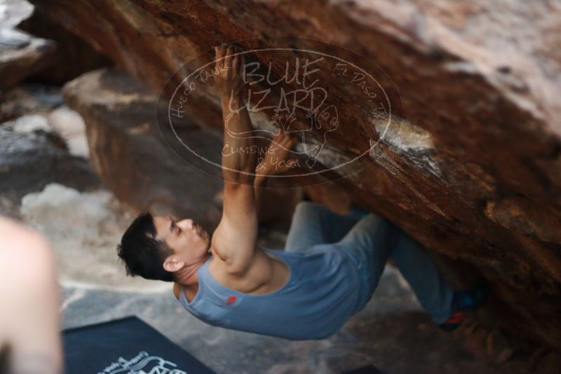 

Filename: SRM_20191109_1758180.jpg
Aperture: f/2.0
Shutter Speed: 1/250
Body: Canon EOS-1D Mark II
Lens: Canon EF 50mm f/1.8 II