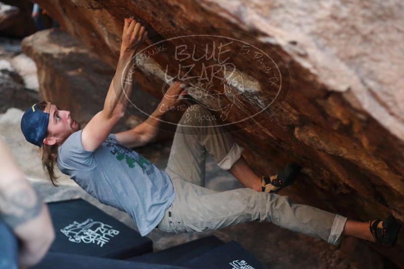 

Filename: SRM_20191109_1801410.jpg
Aperture: f/2.5
Shutter Speed: 1/125
Body: Canon EOS-1D Mark II
Lens: Canon EF 50mm f/1.8 II