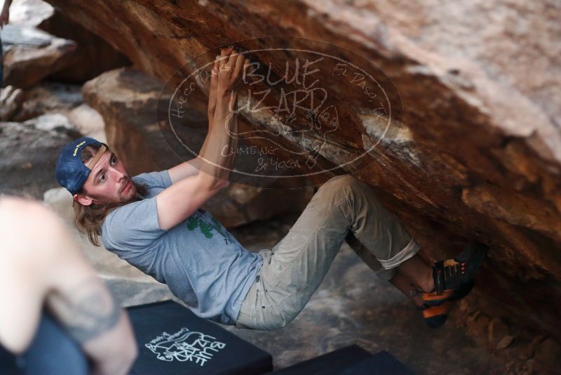 

Filename: SRM_20191109_1801440.jpg
Aperture: f/2.5
Shutter Speed: 1/125
Body: Canon EOS-1D Mark II
Lens: Canon EF 50mm f/1.8 II