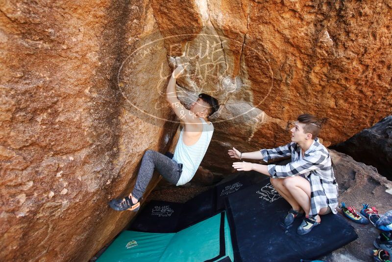 

Filename: SRM_20191110_1213200.jpg
Aperture: f/4.5
Shutter Speed: 1/320
Body: Canon EOS-1D Mark II
Lens: Canon EF 16-35mm f/2.8 L