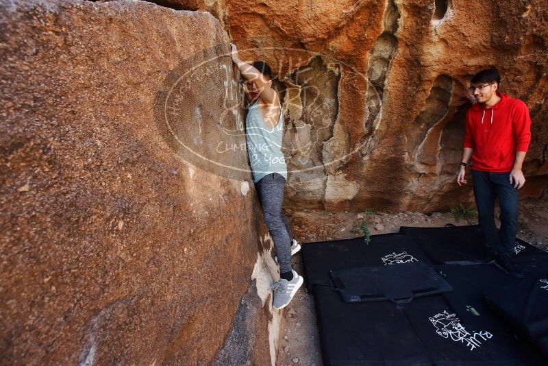 

Filename: SRM_20191110_1238320.jpg
Aperture: f/5.6
Shutter Speed: 1/250
Body: Canon EOS-1D Mark II
Lens: Canon EF 16-35mm f/2.8 L