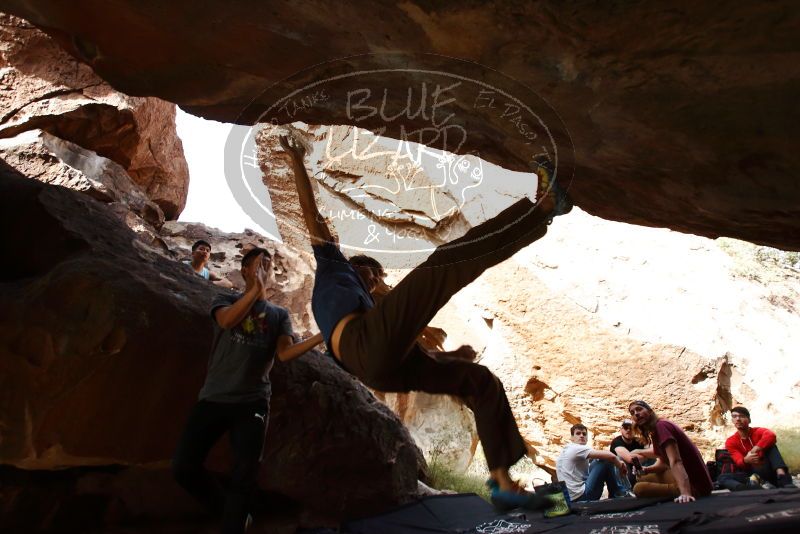 

Filename: SRM_20191110_1431080.jpg
Aperture: f/5.6
Shutter Speed: 1/250
Body: Canon EOS-1D Mark II
Lens: Canon EF 16-35mm f/2.8 L