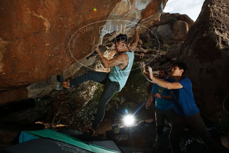 

Filename: SRM_20191110_1621290.jpg
Aperture: f/8.0
Shutter Speed: 1/250
Body: Canon EOS-1D Mark II
Lens: Canon EF 16-35mm f/2.8 L