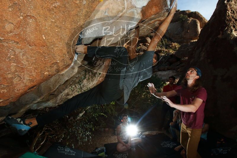 

Filename: SRM_20191110_1656430.jpg
Aperture: f/8.0
Shutter Speed: 1/250
Body: Canon EOS-1D Mark II
Lens: Canon EF 16-35mm f/2.8 L