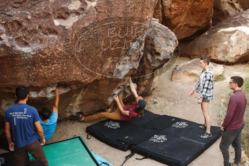 Bouldering in Hueco Tanks on 11/10/2019 with Blue Lizard Climbing and Yoga

Filename: SRM_20191110_1053120.jpg
Aperture: f/8.0
Shutter Speed: 1/125
Body: Canon EOS-1D Mark II
Lens: Canon EF 16-35mm f/2.8 L