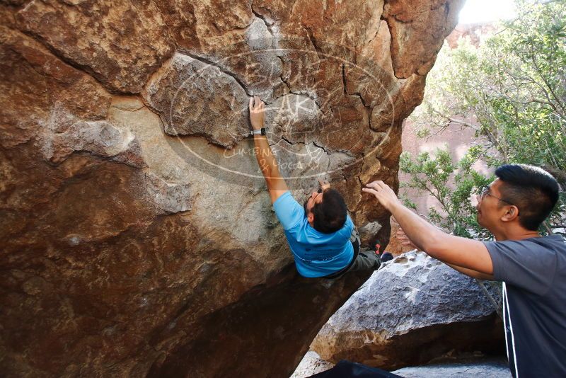 Bouldering in Hueco Tanks on 11/10/2019 with Blue Lizard Climbing and Yoga

Filename: SRM_20191110_1307320.jpg
Aperture: f/4.0
Shutter Speed: 1/250
Body: Canon EOS-1D Mark II
Lens: Canon EF 16-35mm f/2.8 L