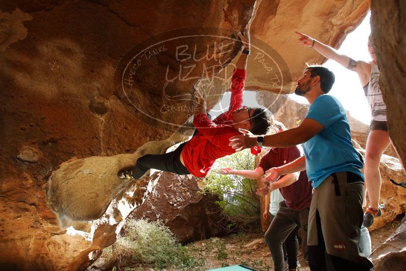 Bouldering in Hueco Tanks on 11/10/2019 with Blue Lizard Climbing and Yoga

Filename: SRM_20191110_1444540.jpg
Aperture: f/5.6
Shutter Speed: 1/200
Body: Canon EOS-1D Mark II
Lens: Canon EF 16-35mm f/2.8 L