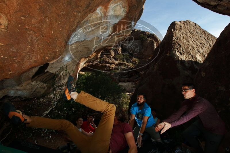 Bouldering in Hueco Tanks on 11/10/2019 with Blue Lizard Climbing and Yoga

Filename: SRM_20191110_1647470.jpg
Aperture: f/8.0
Shutter Speed: 1/250
Body: Canon EOS-1D Mark II
Lens: Canon EF 16-35mm f/2.8 L