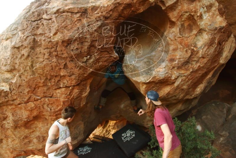 Bouldering in Hueco Tanks on 11/10/2019 with Blue Lizard Climbing and Yoga

Filename: SRM_20191110_1748330.jpg
Aperture: f/2.8
Shutter Speed: 1/200
Body: Canon EOS-1D Mark II
Lens: Canon EF 16-35mm f/2.8 L