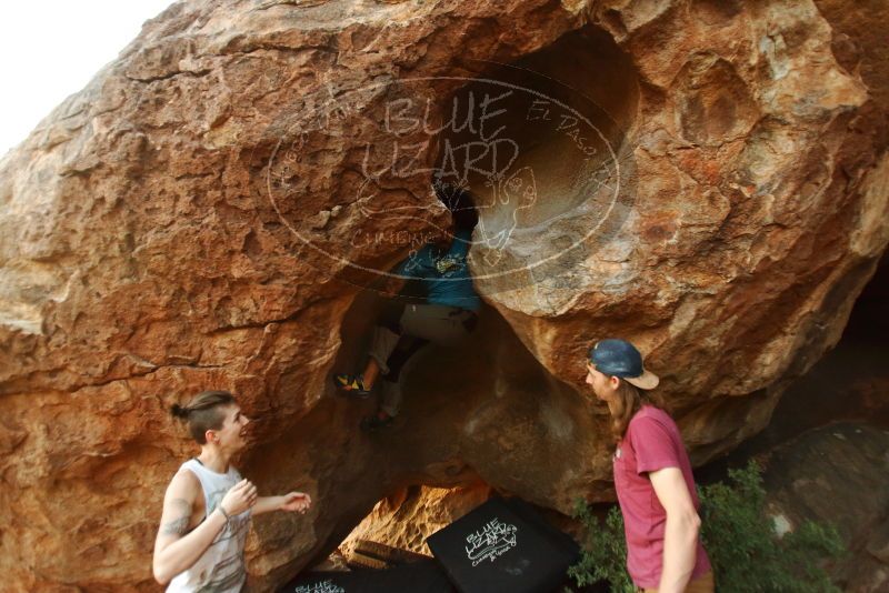 Bouldering in Hueco Tanks on 11/10/2019 with Blue Lizard Climbing and Yoga

Filename: SRM_20191110_1748390.jpg
Aperture: f/2.8
Shutter Speed: 1/250
Body: Canon EOS-1D Mark II
Lens: Canon EF 16-35mm f/2.8 L