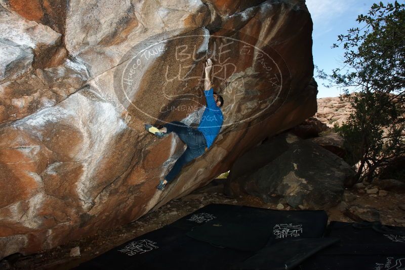 Bouldering in Hueco Tanks on 11/17/2019 with Blue Lizard Climbing and Yoga

Filename: SRM_20191117_1219380.jpg
Aperture: f/8.0
Shutter Speed: 1/250
Body: Canon EOS-1D Mark II
Lens: Canon EF 16-35mm f/2.8 L