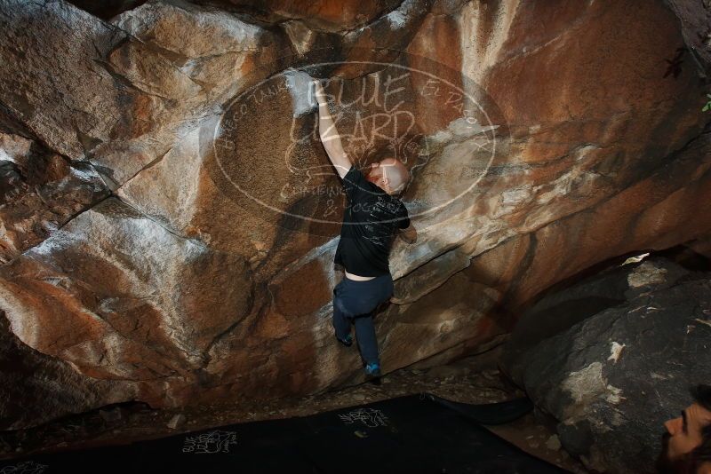 Bouldering in Hueco Tanks on 11/17/2019 with Blue Lizard Climbing and Yoga

Filename: SRM_20191117_1231500.jpg
Aperture: f/8.0
Shutter Speed: 1/200
Body: Canon EOS-1D Mark II
Lens: Canon EF 16-35mm f/2.8 L