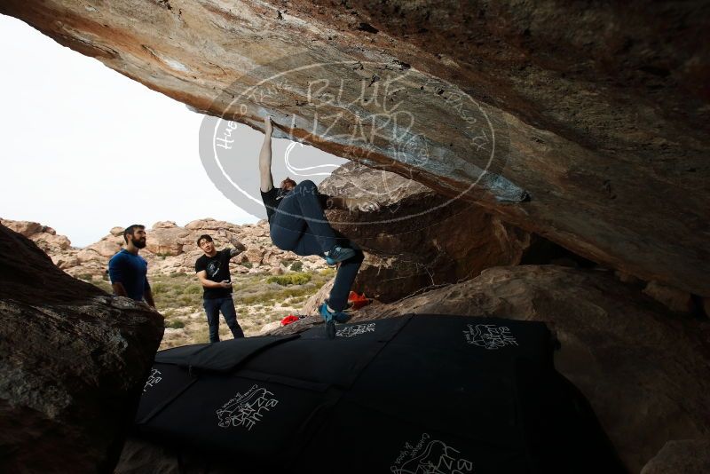 Bouldering in Hueco Tanks on 11/17/2019 with Blue Lizard Climbing and Yoga

Filename: SRM_20191117_1258590.jpg
Aperture: f/7.1
Shutter Speed: 1/250
Body: Canon EOS-1D Mark II
Lens: Canon EF 16-35mm f/2.8 L