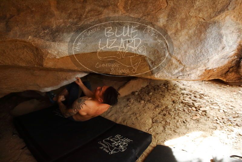 Bouldering in Hueco Tanks on 11/17/2019 with Blue Lizard Climbing and Yoga

Filename: SRM_20191117_1438240.jpg
Aperture: f/2.8
Shutter Speed: 1/400
Body: Canon EOS-1D Mark II
Lens: Canon EF 16-35mm f/2.8 L