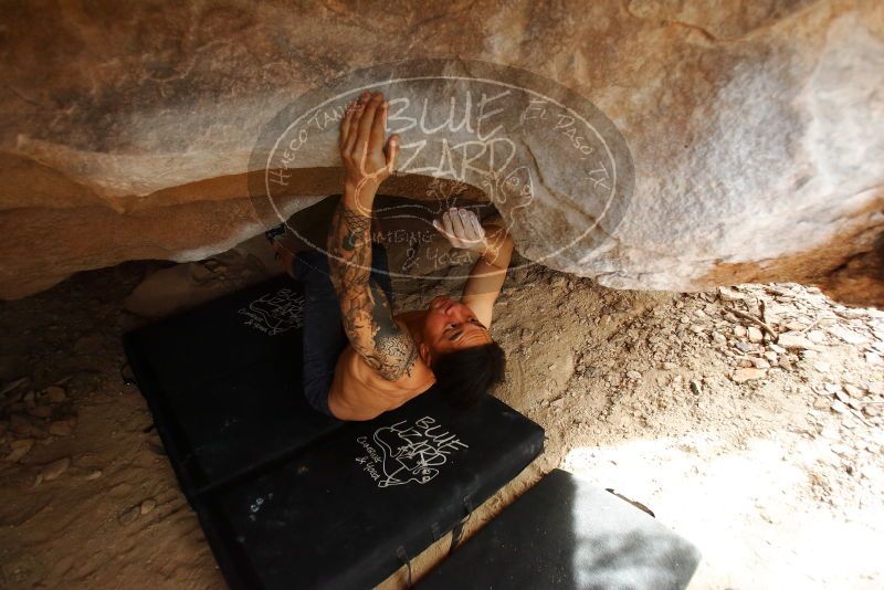 Bouldering in Hueco Tanks on 11/17/2019 with Blue Lizard Climbing and Yoga

Filename: SRM_20191117_1447250.jpg
Aperture: f/2.8
Shutter Speed: 1/250
Body: Canon EOS-1D Mark II
Lens: Canon EF 16-35mm f/2.8 L