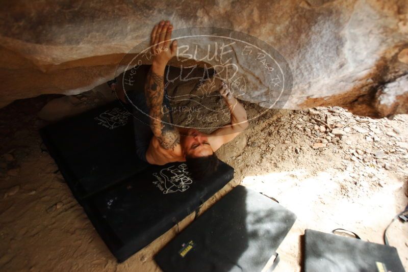 Bouldering in Hueco Tanks on 11/17/2019 with Blue Lizard Climbing and Yoga

Filename: SRM_20191117_1447260.jpg
Aperture: f/3.2
Shutter Speed: 1/250
Body: Canon EOS-1D Mark II
Lens: Canon EF 16-35mm f/2.8 L