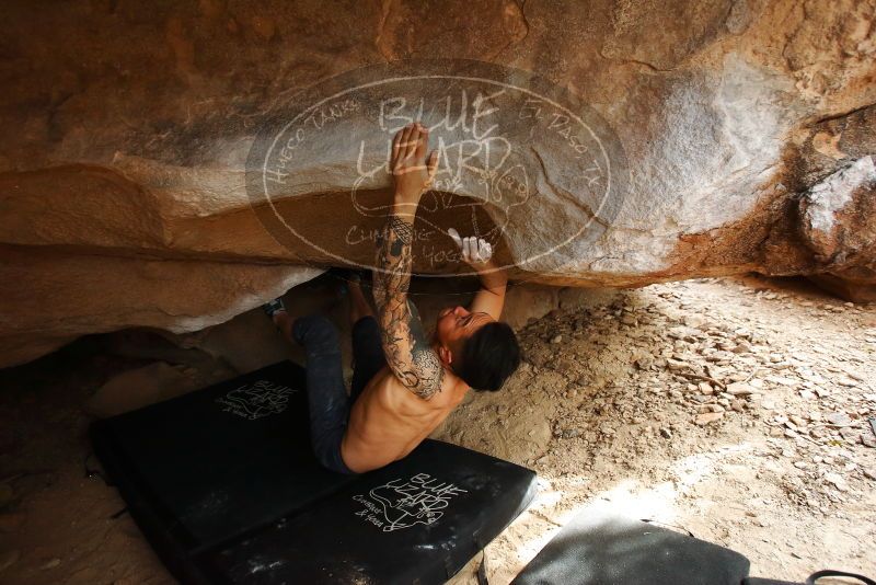 Bouldering in Hueco Tanks on 11/17/2019 with Blue Lizard Climbing and Yoga

Filename: SRM_20191117_1512360.jpg
Aperture: f/3.5
Shutter Speed: 1/250
Body: Canon EOS-1D Mark II
Lens: Canon EF 16-35mm f/2.8 L