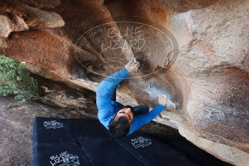 Bouldering in Hueco Tanks on 11/17/2019 with Blue Lizard Climbing and Yoga

Filename: SRM_20191117_1556070.jpg
Aperture: f/4.5
Shutter Speed: 1/250
Body: Canon EOS-1D Mark II
Lens: Canon EF 16-35mm f/2.8 L