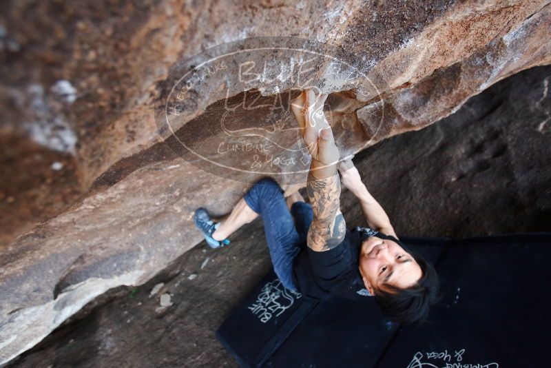 Bouldering in Hueco Tanks on 11/17/2019 with Blue Lizard Climbing and Yoga

Filename: SRM_20191117_1612400.jpg
Aperture: f/3.5
Shutter Speed: 1/250
Body: Canon EOS-1D Mark II
Lens: Canon EF 16-35mm f/2.8 L