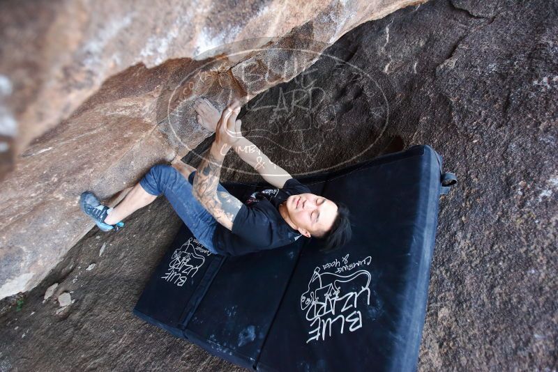 Bouldering in Hueco Tanks on 11/17/2019 with Blue Lizard Climbing and Yoga

Filename: SRM_20191117_1613111.jpg
Aperture: f/2.8
Shutter Speed: 1/250
Body: Canon EOS-1D Mark II
Lens: Canon EF 16-35mm f/2.8 L