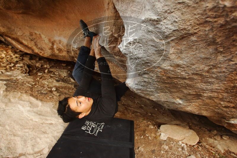 Bouldering in Hueco Tanks on 11/17/2019 with Blue Lizard Climbing and Yoga

Filename: SRM_20191117_1719030.jpg
Aperture: f/5.0
Shutter Speed: 1/250
Body: Canon EOS-1D Mark II
Lens: Canon EF 16-35mm f/2.8 L
