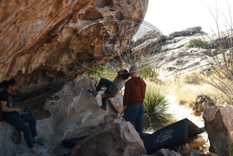 Bouldering in Hueco Tanks on 11/18/2019 with Blue Lizard Climbing and Yoga

Filename: SRM_20191118_1138290.jpg
Aperture: f/2.8
Shutter Speed: 1/250
Body: Canon EOS-1D Mark II
Lens: Canon EF 50mm f/1.8 II
