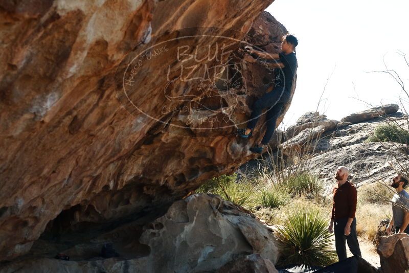 Bouldering in Hueco Tanks on 11/18/2019 with Blue Lizard Climbing and Yoga

Filename: SRM_20191118_1140570.jpg
Aperture: f/5.0
Shutter Speed: 1/250
Body: Canon EOS-1D Mark II
Lens: Canon EF 50mm f/1.8 II