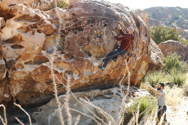 Bouldering in Hueco Tanks on 11/18/2019 with Blue Lizard Climbing and Yoga

Filename: SRM_20191118_1142030.jpg
Aperture: f/4.0
Shutter Speed: 1/250
Body: Canon EOS-1D Mark II
Lens: Canon EF 50mm f/1.8 II