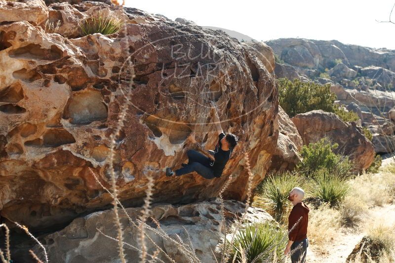 Bouldering in Hueco Tanks on 11/18/2019 with Blue Lizard Climbing and Yoga

Filename: SRM_20191118_1144300.jpg
Aperture: f/5.0
Shutter Speed: 1/250
Body: Canon EOS-1D Mark II
Lens: Canon EF 50mm f/1.8 II
