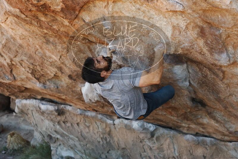Bouldering in Hueco Tanks on 11/18/2019 with Blue Lizard Climbing and Yoga

Filename: SRM_20191118_1151460.jpg
Aperture: f/4.0
Shutter Speed: 1/250
Body: Canon EOS-1D Mark II
Lens: Canon EF 50mm f/1.8 II