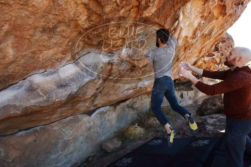 Bouldering in Hueco Tanks on 11/18/2019 with Blue Lizard Climbing and Yoga

Filename: SRM_20191118_1200520.jpg
Aperture: f/6.3
Shutter Speed: 1/250
Body: Canon EOS-1D Mark II
Lens: Canon EF 16-35mm f/2.8 L