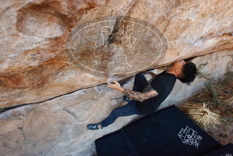 Bouldering in Hueco Tanks on 11/18/2019 with Blue Lizard Climbing and Yoga

Filename: SRM_20191118_1233570.jpg
Aperture: f/4.5
Shutter Speed: 1/250
Body: Canon EOS-1D Mark II
Lens: Canon EF 16-35mm f/2.8 L