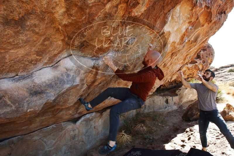 Bouldering in Hueco Tanks on 11/18/2019 with Blue Lizard Climbing and Yoga

Filename: SRM_20191118_1253421.jpg
Aperture: f/7.1
Shutter Speed: 1/250
Body: Canon EOS-1D Mark II
Lens: Canon EF 16-35mm f/2.8 L