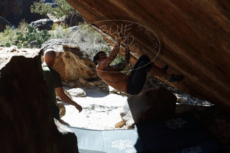 Bouldering in Hueco Tanks on 11/18/2019 with Blue Lizard Climbing and Yoga

Filename: SRM_20191118_1406220.jpg
Aperture: f/5.6
Shutter Speed: 1/250
Body: Canon EOS-1D Mark II
Lens: Canon EF 50mm f/1.8 II