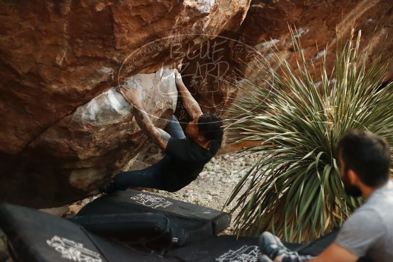 Bouldering in Hueco Tanks on 11/18/2019 with Blue Lizard Climbing and Yoga

Filename: SRM_20191118_1812100.jpg
Aperture: f/2.0
Shutter Speed: 1/250
Body: Canon EOS-1D Mark II
Lens: Canon EF 50mm f/1.8 II