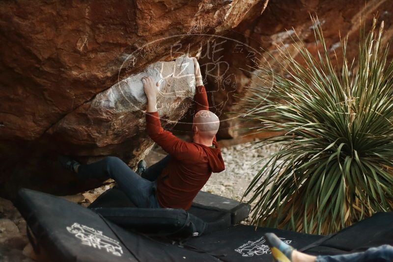 Bouldering in Hueco Tanks on 11/18/2019 with Blue Lizard Climbing and Yoga

Filename: SRM_20191118_1813070.jpg
Aperture: f/1.8
Shutter Speed: 1/250
Body: Canon EOS-1D Mark II
Lens: Canon EF 50mm f/1.8 II