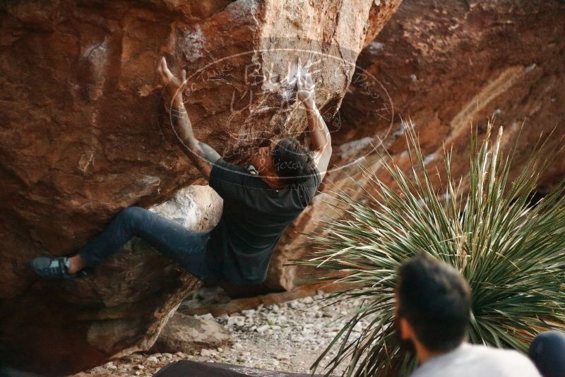 Bouldering in Hueco Tanks on 11/18/2019 with Blue Lizard Climbing and Yoga

Filename: SRM_20191118_1817310.jpg
Aperture: f/1.8
Shutter Speed: 1/250
Body: Canon EOS-1D Mark II
Lens: Canon EF 50mm f/1.8 II