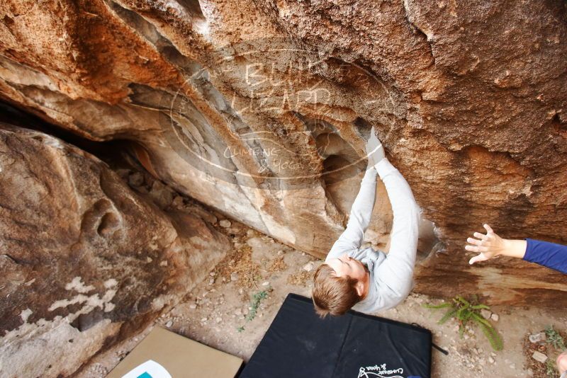 Bouldering in Hueco Tanks on 11/16/2019 with Blue Lizard Climbing and Yoga

Filename: SRM_20191116_1043370.jpg
Aperture: f/4.0
Shutter Speed: 1/320
Body: Canon EOS-1D Mark II
Lens: Canon EF 16-35mm f/2.8 L