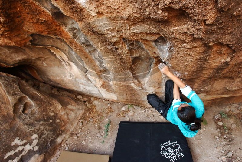 Bouldering in Hueco Tanks on 11/16/2019 with Blue Lizard Climbing and Yoga

Filename: SRM_20191116_1047180.jpg
Aperture: f/5.0
Shutter Speed: 1/200
Body: Canon EOS-1D Mark II
Lens: Canon EF 16-35mm f/2.8 L