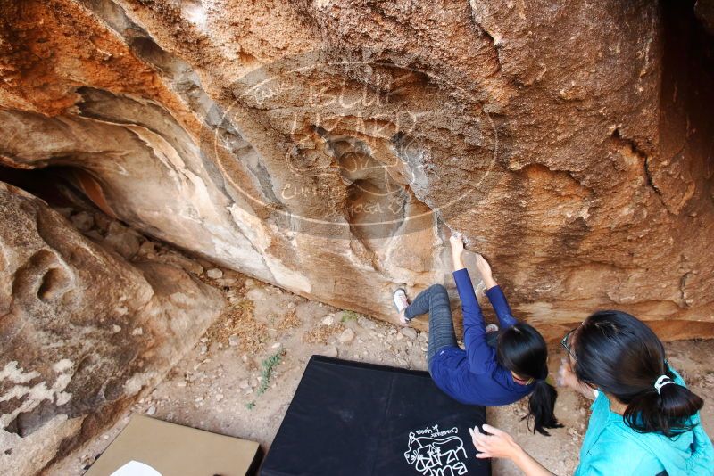 Bouldering in Hueco Tanks on 11/16/2019 with Blue Lizard Climbing and Yoga

Filename: SRM_20191116_1049510.jpg
Aperture: f/5.0
Shutter Speed: 1/125
Body: Canon EOS-1D Mark II
Lens: Canon EF 16-35mm f/2.8 L