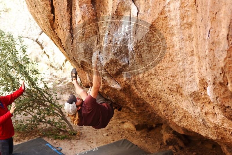 Bouldering in Hueco Tanks on 11/16/2019 with Blue Lizard Climbing and Yoga

Filename: SRM_20191116_1100270.jpg
Aperture: f/2.8
Shutter Speed: 1/400
Body: Canon EOS-1D Mark II
Lens: Canon EF 85mm f/1.2 L II