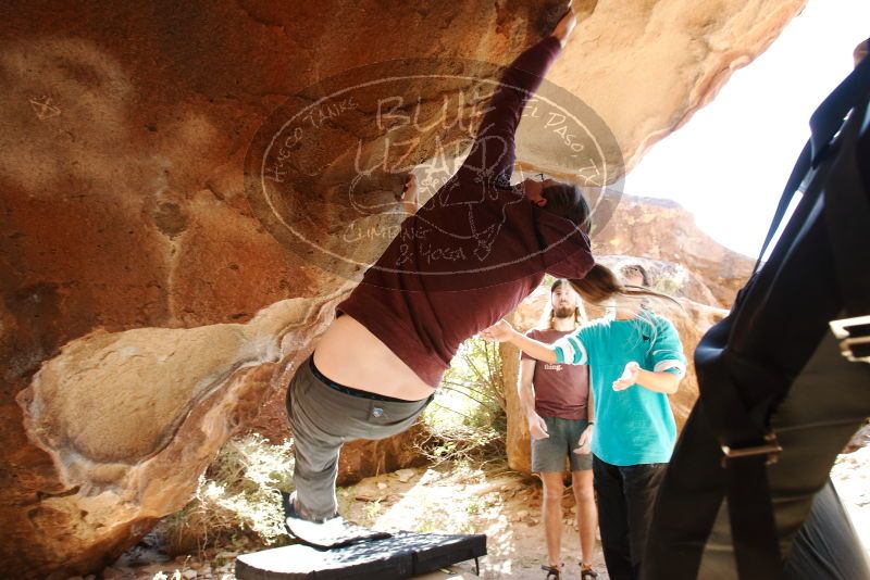 Bouldering in Hueco Tanks on 11/16/2019 with Blue Lizard Climbing and Yoga

Filename: SRM_20191116_1158360.jpg
Aperture: f/5.6
Shutter Speed: 1/125
Body: Canon EOS-1D Mark II
Lens: Canon EF 16-35mm f/2.8 L