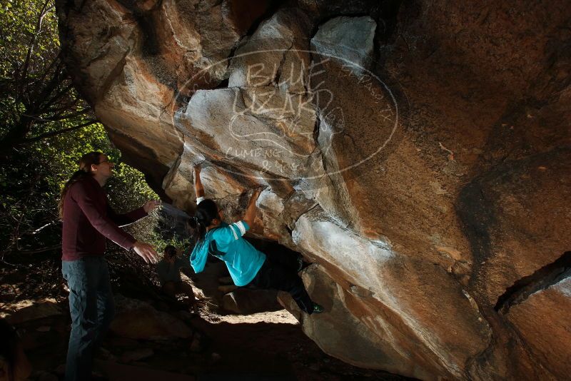 Bouldering in Hueco Tanks on 11/16/2019 with Blue Lizard Climbing and Yoga

Filename: SRM_20191116_1348490.jpg
Aperture: f/8.0
Shutter Speed: 1/250
Body: Canon EOS-1D Mark II
Lens: Canon EF 16-35mm f/2.8 L